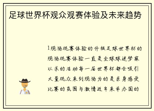 足球世界杯观众观赛体验及未来趋势